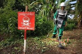 Cambodia is using ‘Hero rats’ to sniff out unexploded landmines4