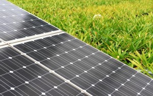 Neo Solar seeking Vietnamese partner for 800-MWp panel JV
