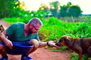 Man Fell In Love With Thailand’s Stray Dogs And Now Feeds 80 Every Day1