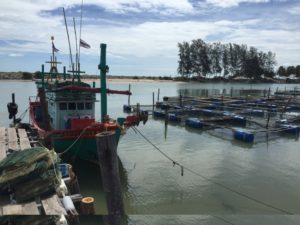 Dozens of small fishing vessels and aquaculture can be seen at the mouth of the Thepa River, where fishing is the main economic activity of the people in Thepa District of Songkhla