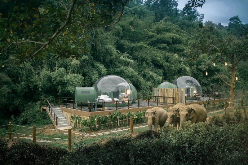zelten garten Pavillon 3,5 x 3,5 m mit Seitenwänden & Insektenschutz – wasserdichter Event Shelter, leichtes Camping Zelt mit Fiberglasgestänge, Festival Pavillon, Pavillion für Outdoor & Party couleur:Biarritz Year_2024_Make_Ford_Model_F-150_Engine_3.5L Gas Strampelsack - Blau |